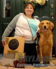 janice provenzano golden retrievers mach2 gaylan s bet on it at terrevern bn jh mxg mjg mxf janice provenzano golden retrievers mach2 gaylan s bet on it at terrevern bn jh mxg mjg mxf