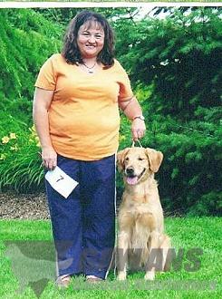 janice provenzano golden retrievers mach2 gaylan s bet on it at terrevern bn jh mxg mjg mxf janice provenzano golden retrievers mach2 gaylan s bet on it at terrevern bn jh mxg mjg mxf