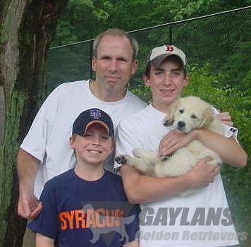 janice provenzano golden retrievers gaylan s fenway harp thd cca tdi cgc gaylan s golden janice provenzano golden retrievers gaylan s fenway harp thd cca tdi cgc gaylan s golden