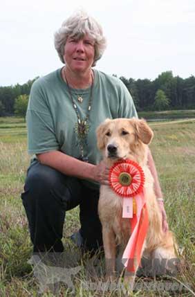 janice provenzano golden retrievers gaylan s talent sh ax axj nf wcx od cca gaylan s janice provenzano golden retrievers gaylan s talent sh ax axj nf wcx od cca gaylan s